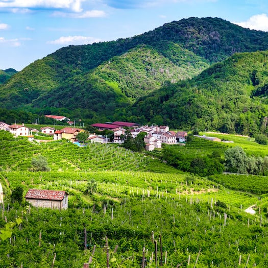 Prosecco wine region hills