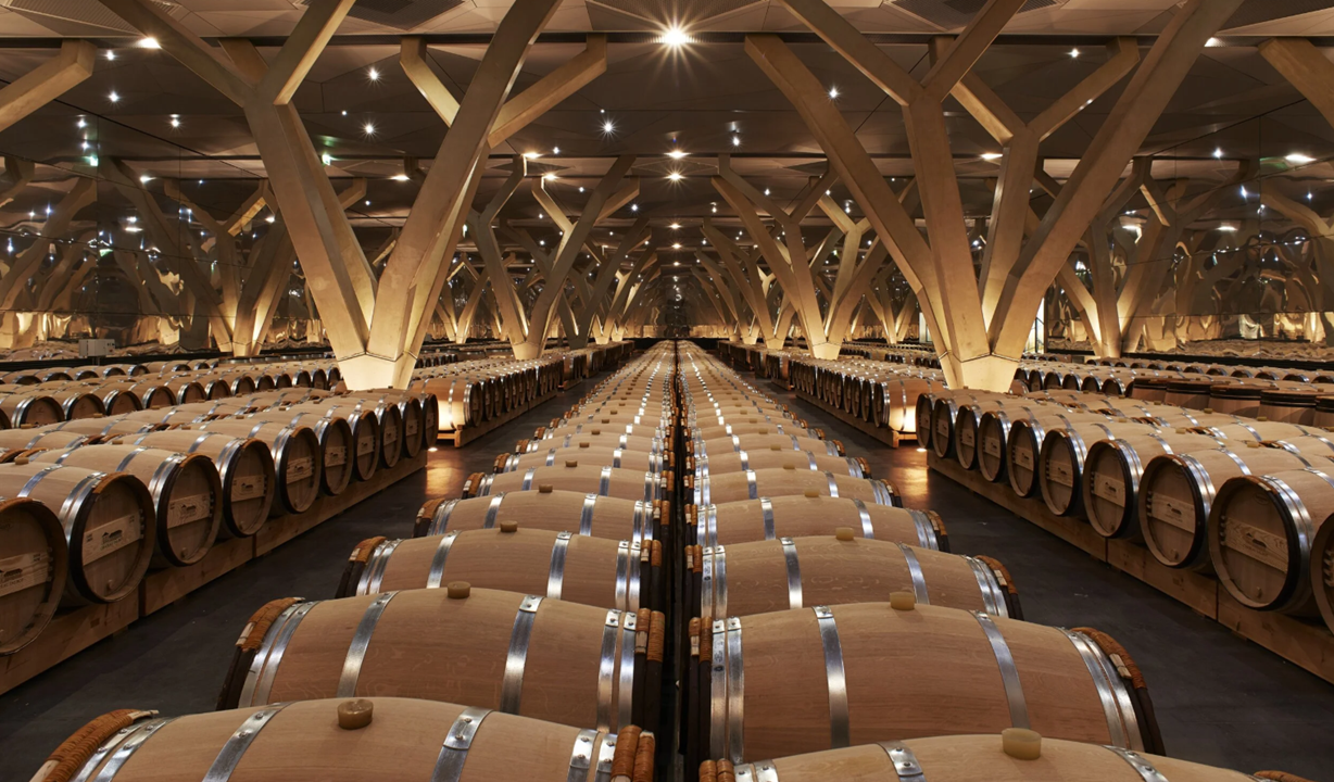 room of en primeur wine barrels