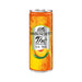 SBE2203_EA